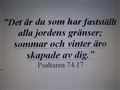 Vinter 1111.JPG